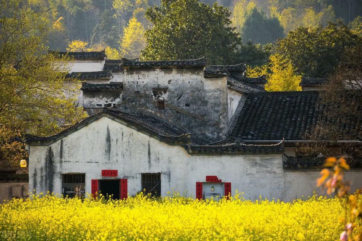 Xidi Village5 Xidi Village5